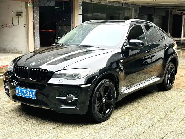 2010 BMW X6