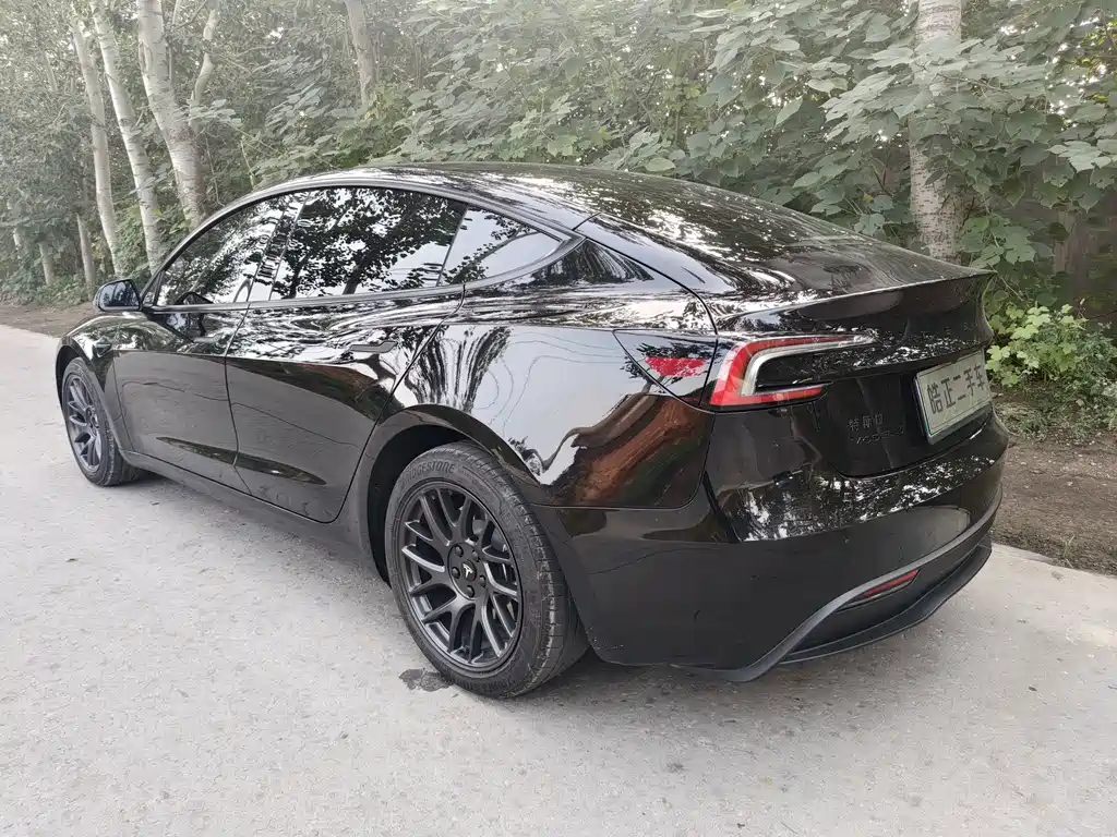 Tesla Model 3 — миниатюра 6