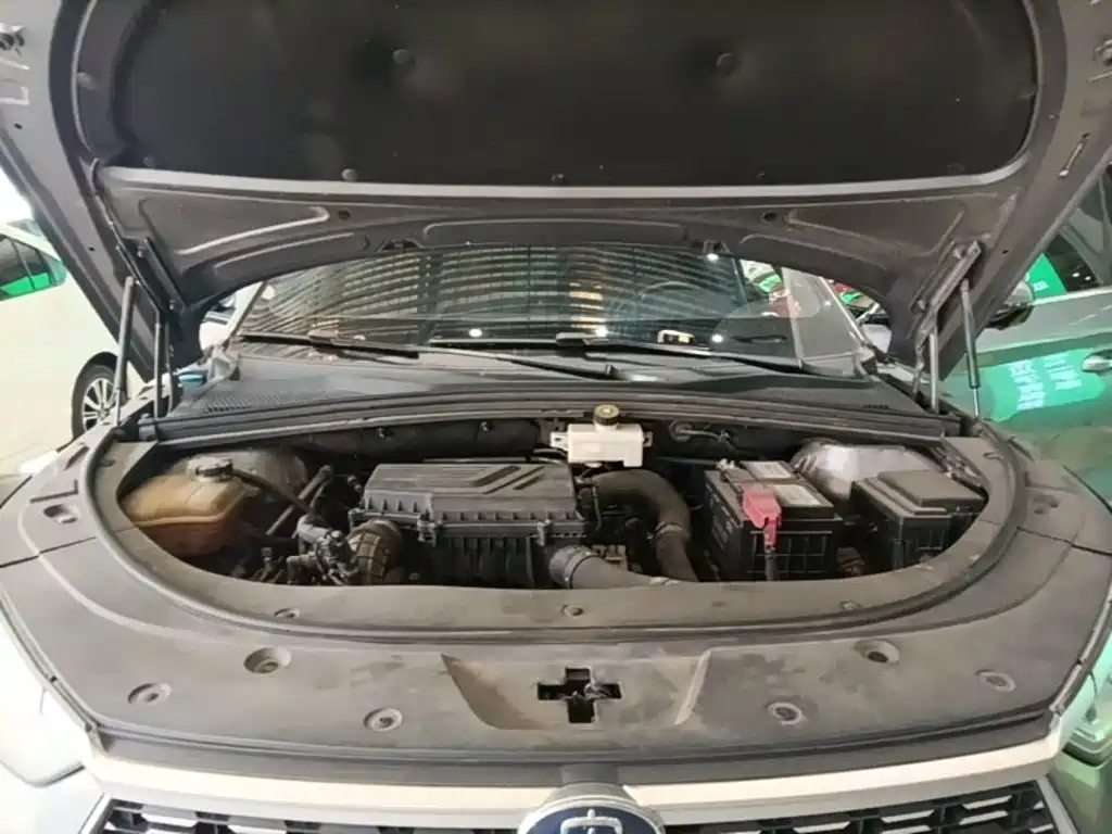 BYD PLUS — миниатюра 20