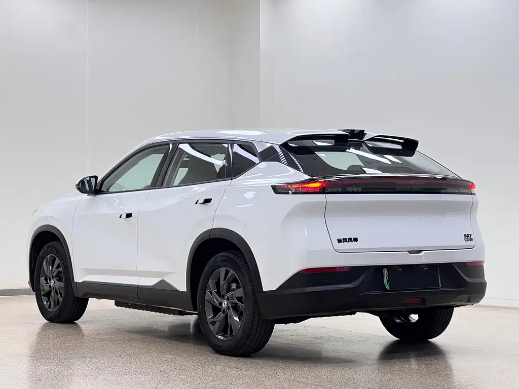 Aeolus SKY EV01 — миниатюра 4