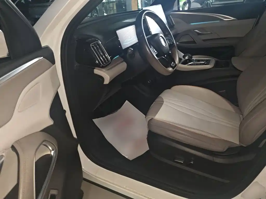 BYD Pro New Energy — миниатюра 15