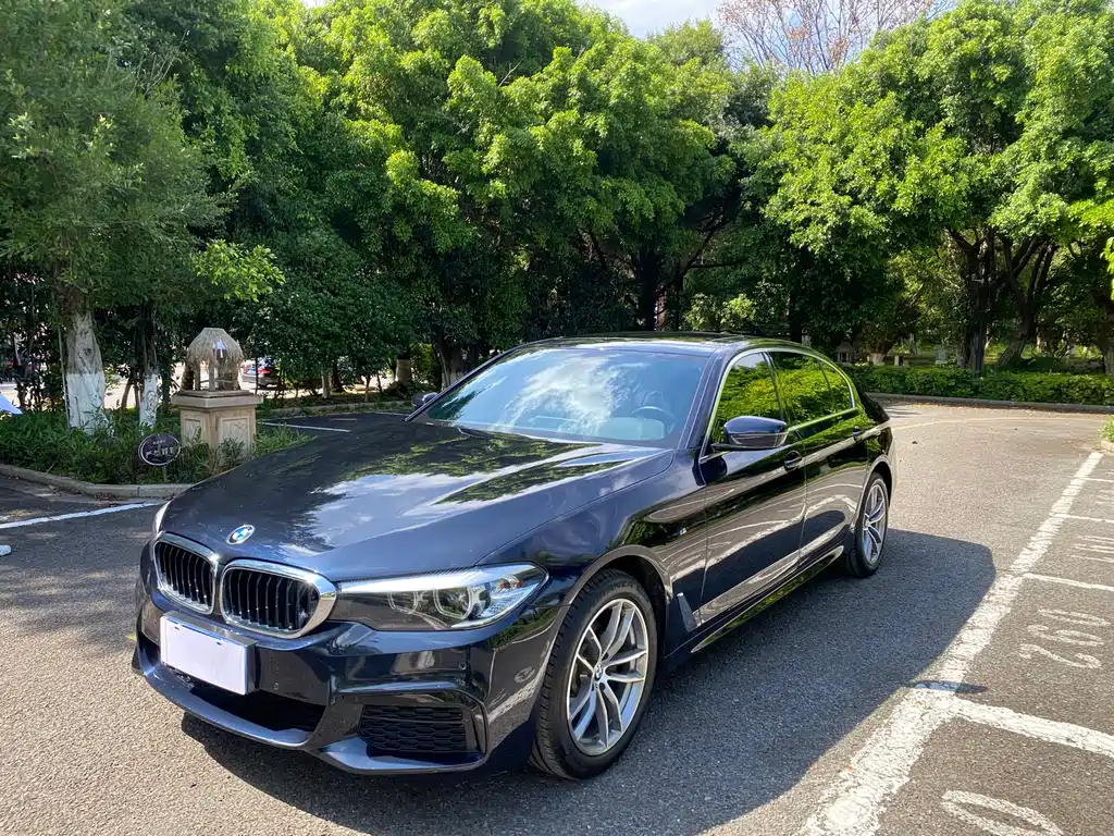 BMW 5 Series 2020