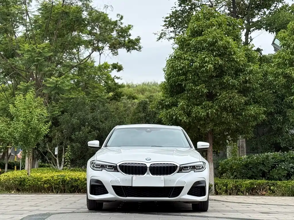 BMW 3 Series 3 2022 325Li M Sport