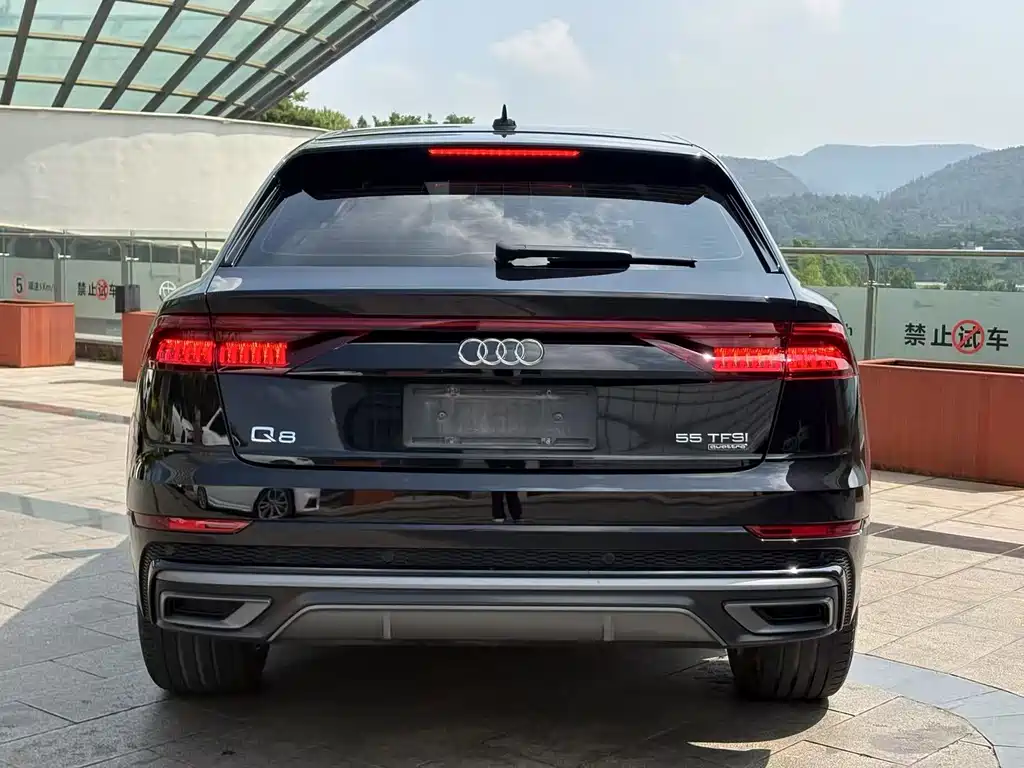 Audi Q8 2021 55 TFSI