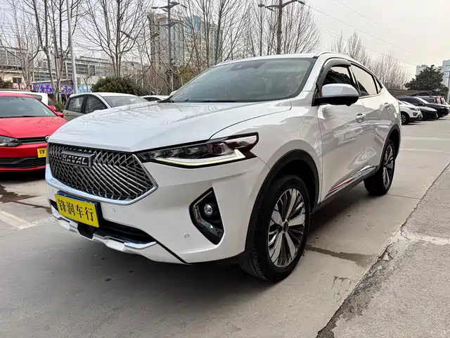 HAVAL F7X