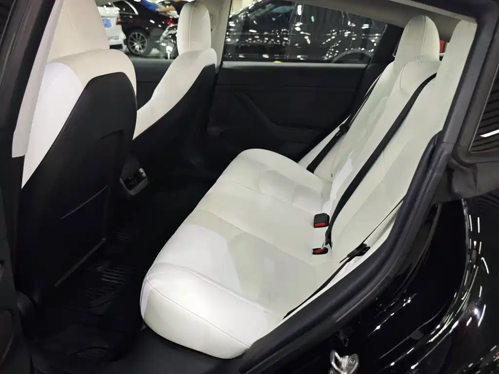 Tesla Model 3 — миниатюра 14