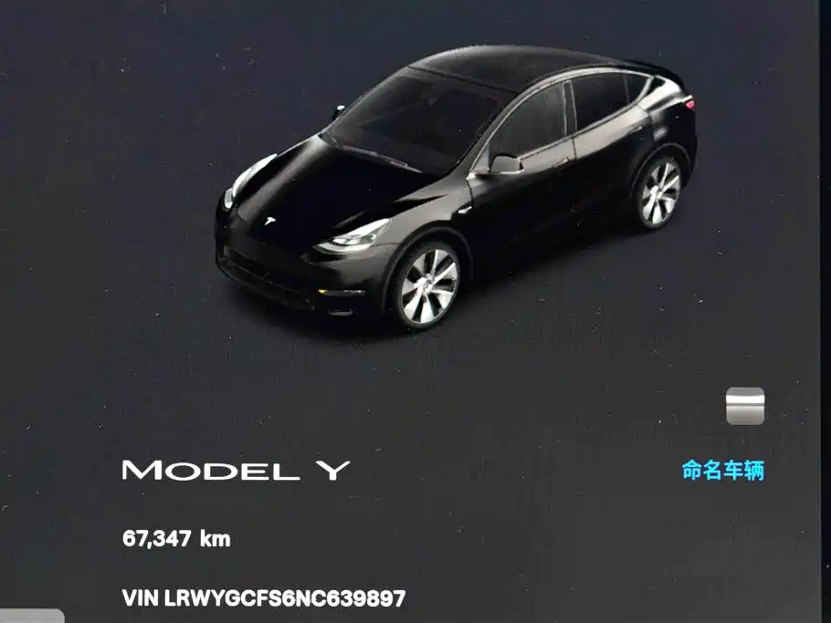 TESLA MODEL Y