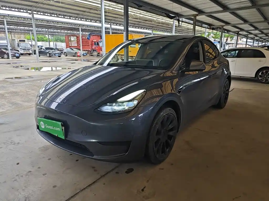 Tesla Model Y — миниатюра 2