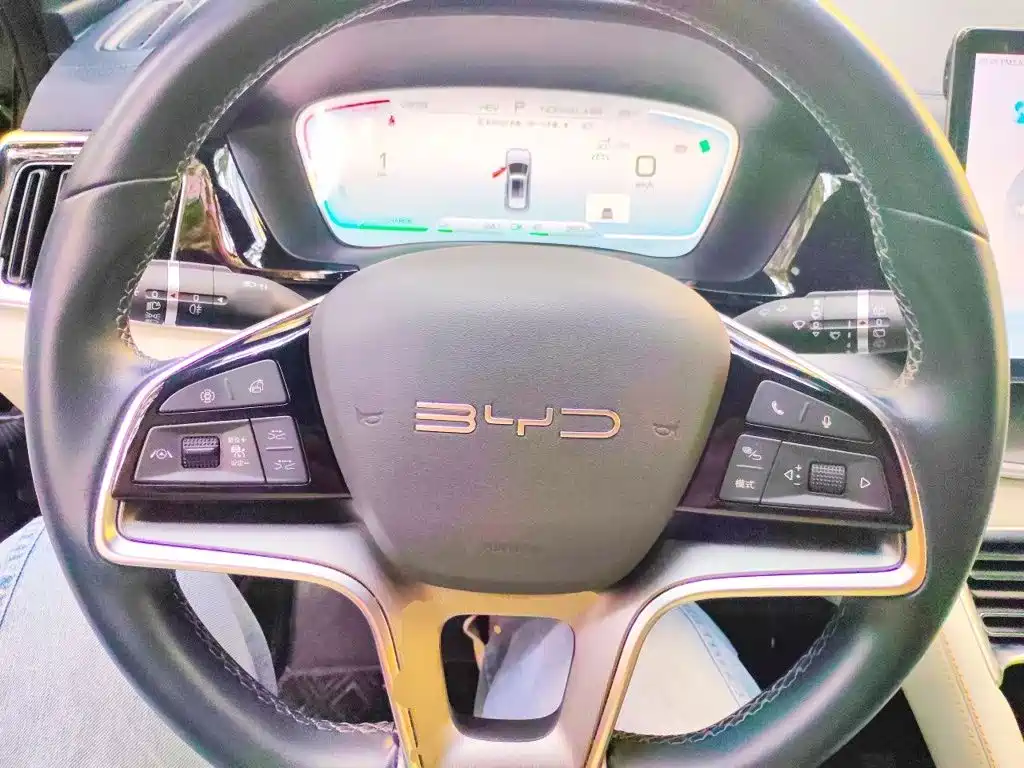 BYD PLUS New Energy — миниатюра 6
