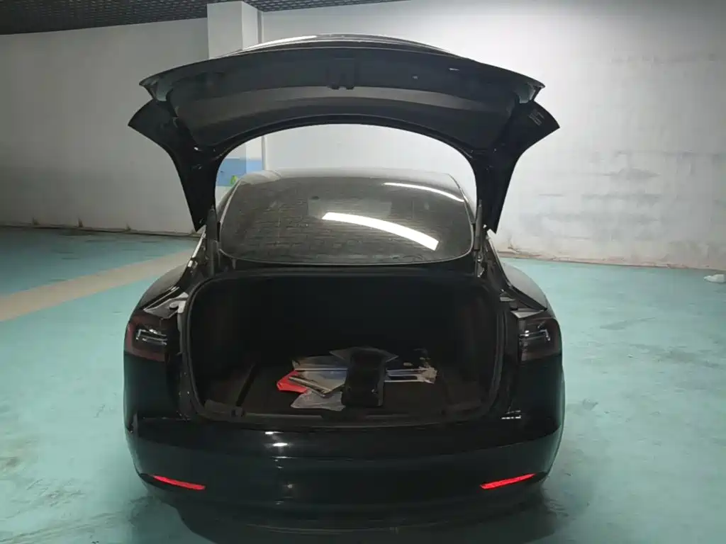 Tesla Model 3 — миниатюра 19