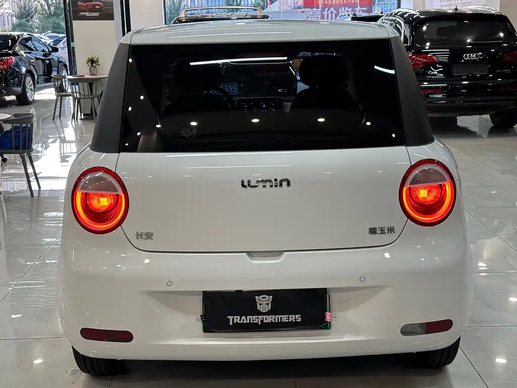 Qiyuan Lumin — миниатюра 4