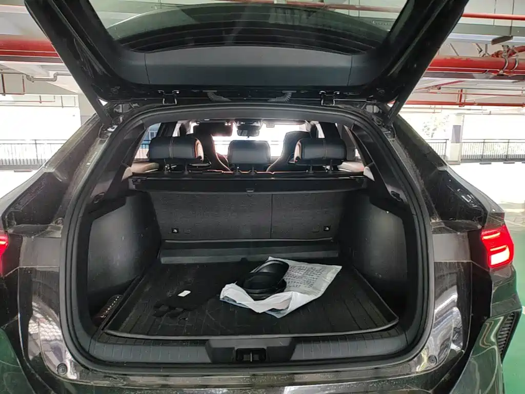 BYD PLUS New Energy — миниатюра 19