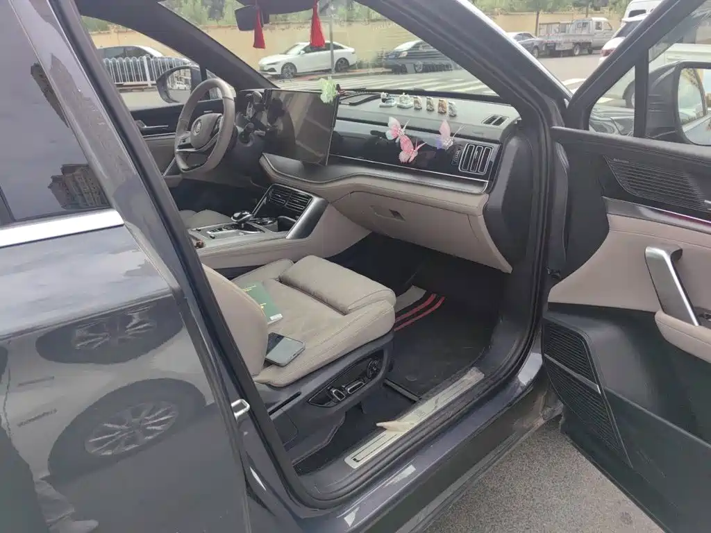 BYD Tang New Energy — миниатюра 19