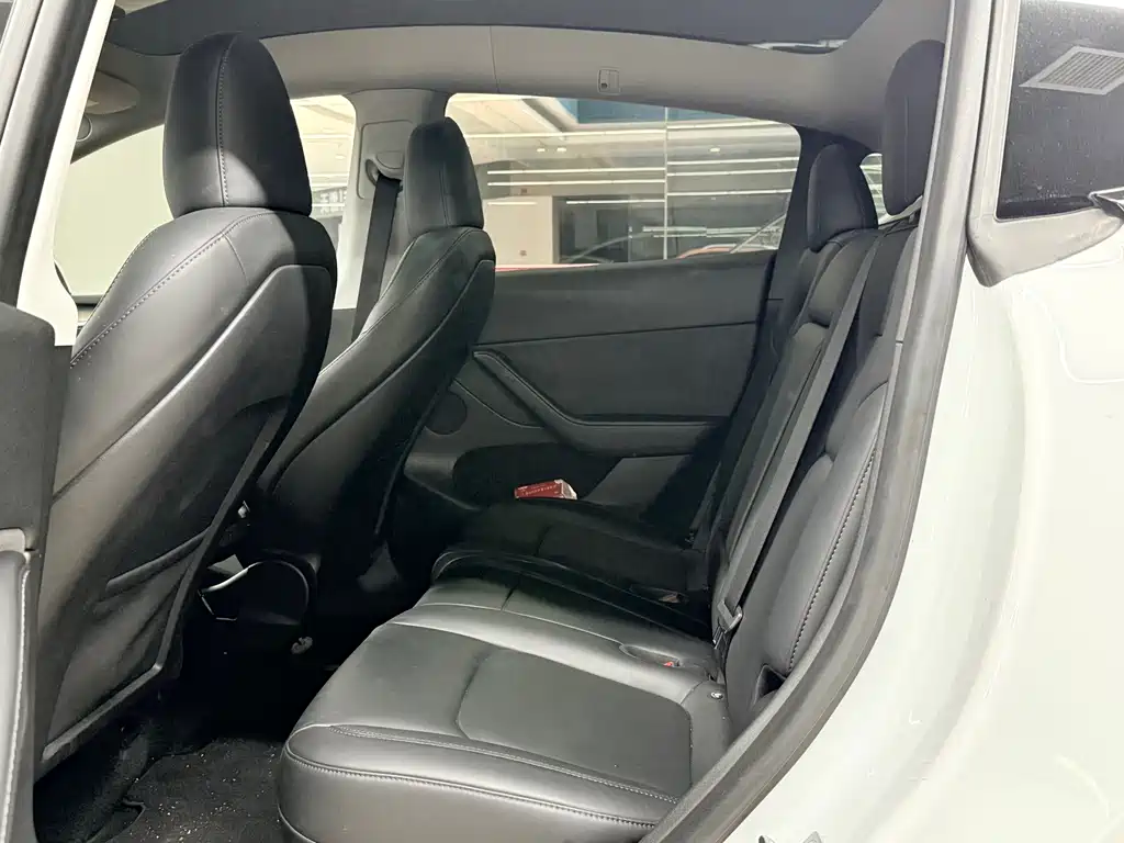 Tesla Model Y — миниатюра 7
