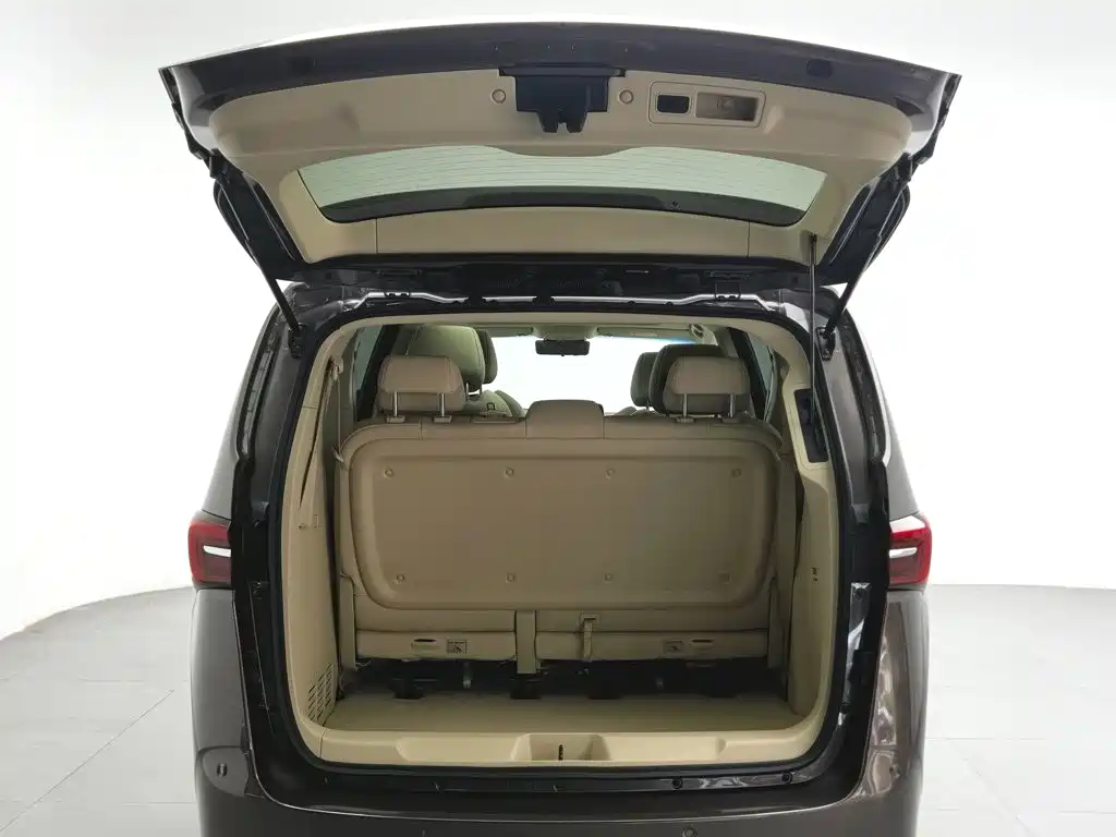 Buick GL8 — миниатюра 16