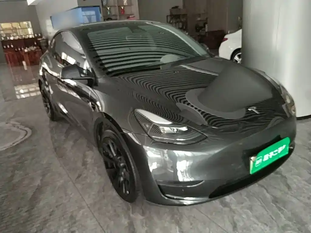 Tesla Model Y — миниатюра 4