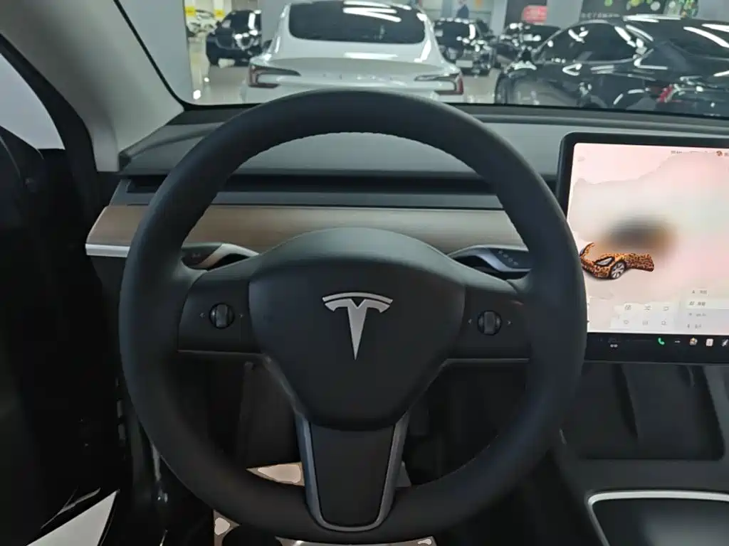 Tesla Model Y — миниатюра 11