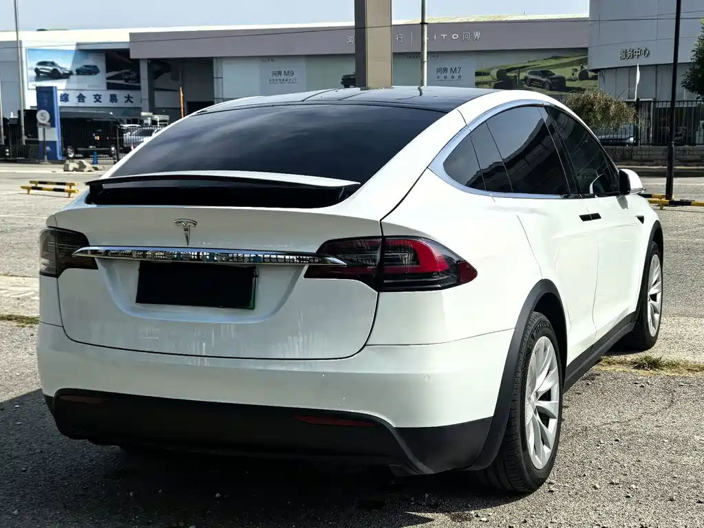 Tesla Model X — миниатюра 12
