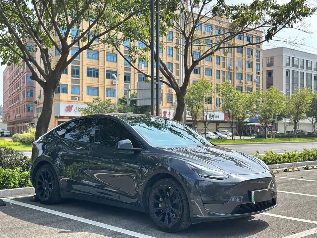 Tesla Model Y — миниатюра 3