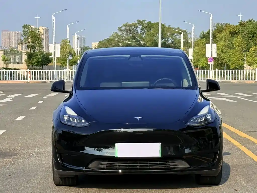 Tesla Model Y — миниатюра 2