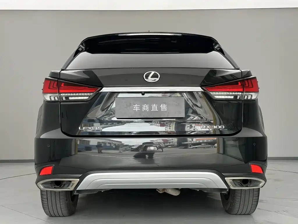 Lexus RX — миниатюра 7