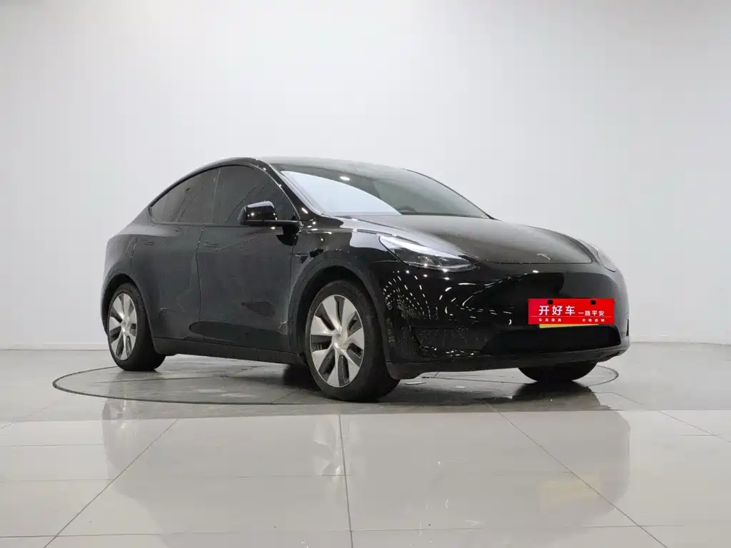 Tesla Model Y — миниатюра 3