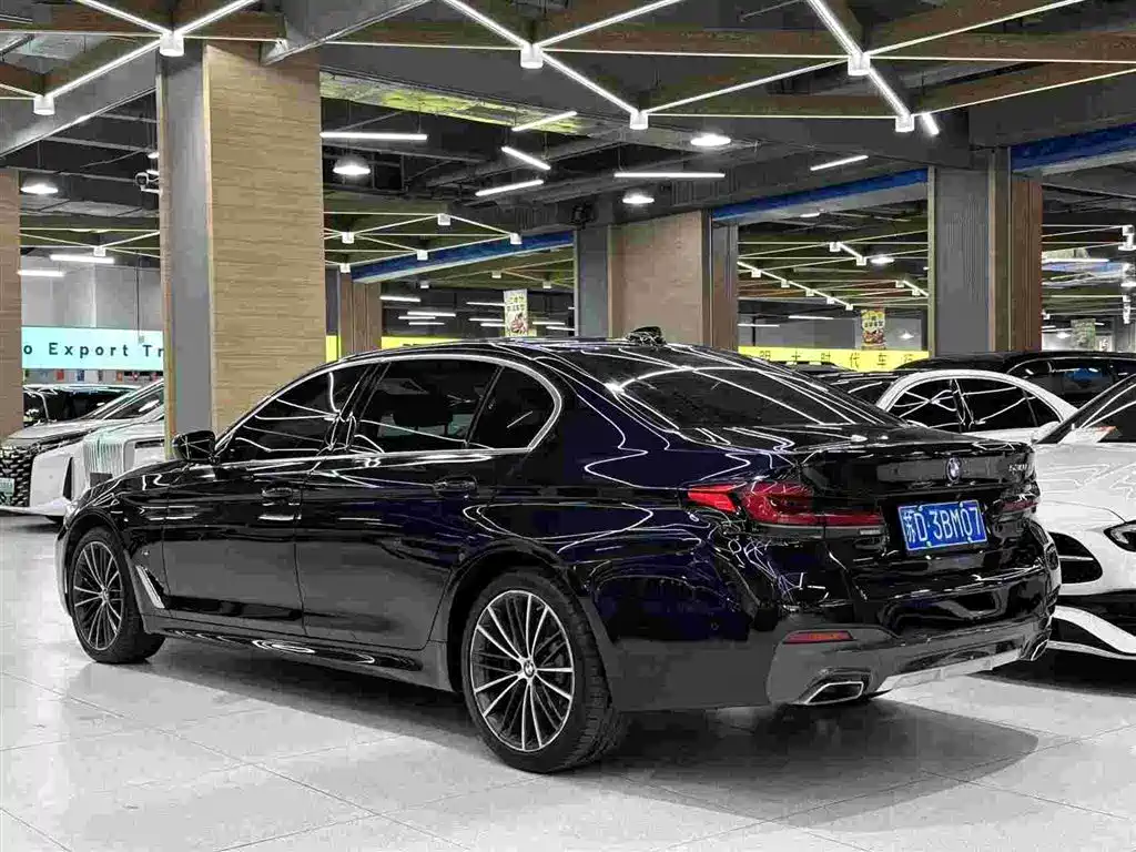 BMW 5 Series — миниатюра 5