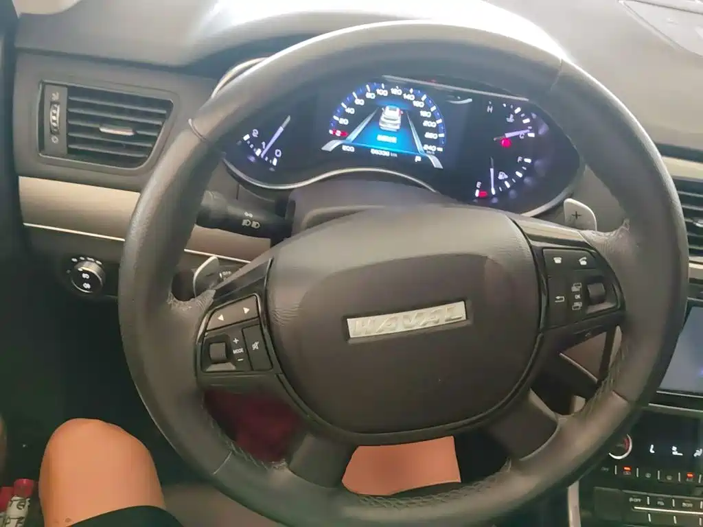 Haval H8 — миниатюра 11