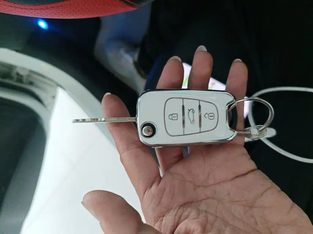 Hyundai Ruiyi — миниатюра 9