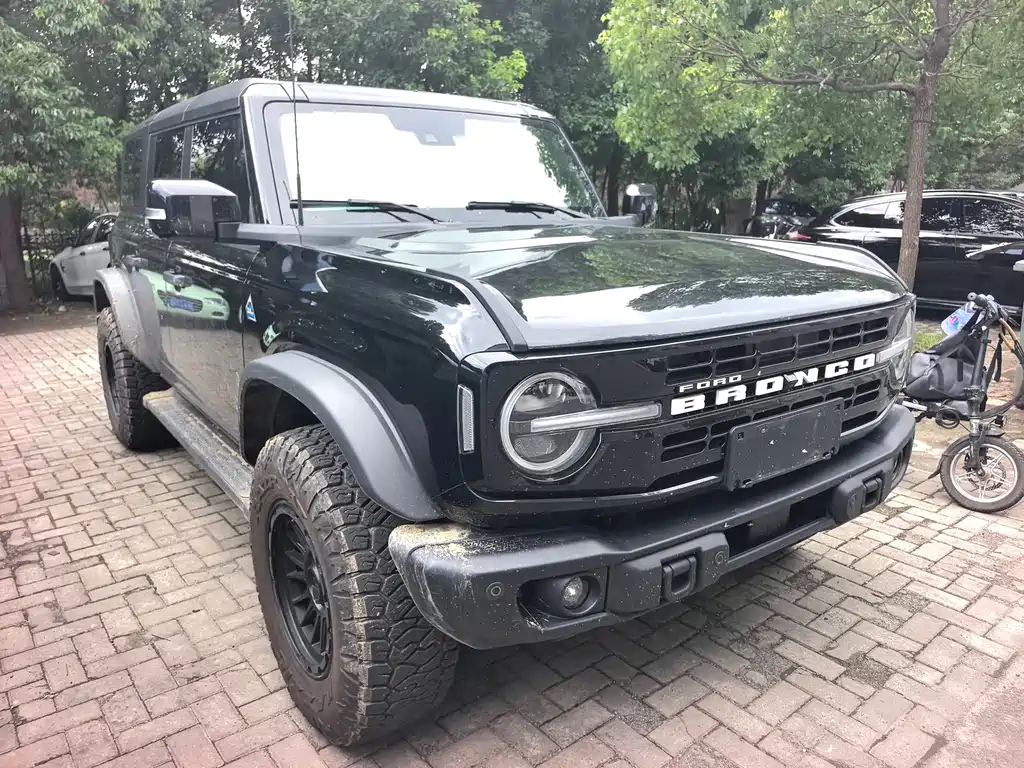 Ford Bronco — миниатюра 3