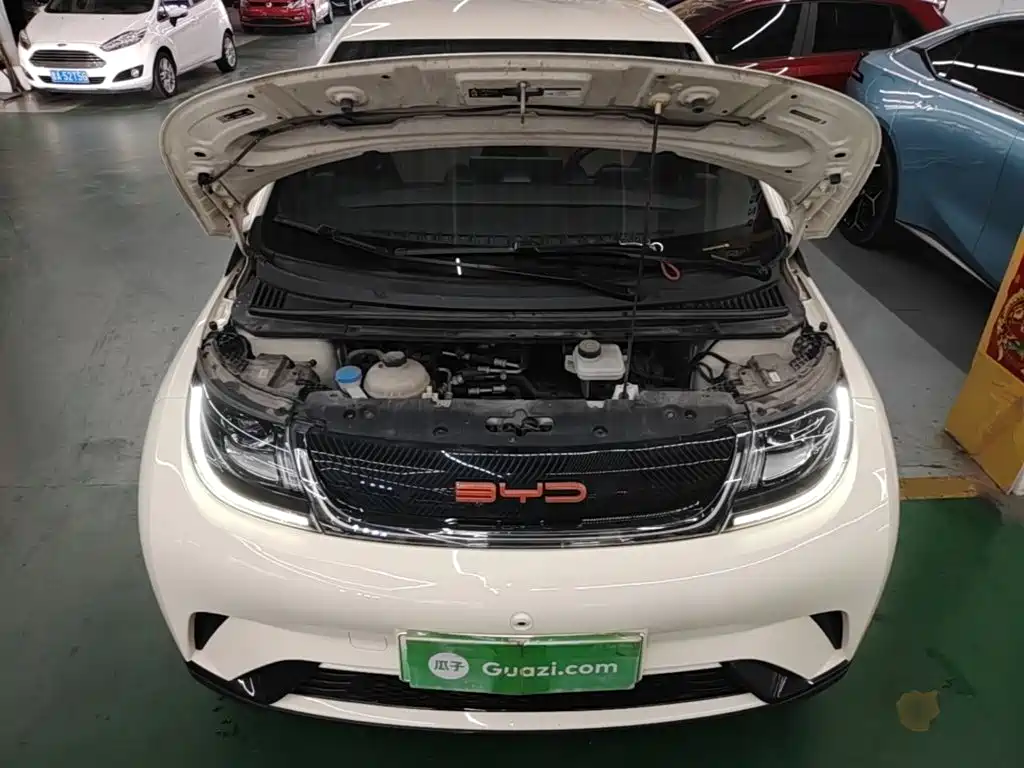 BYD Dolphin — миниатюра 20