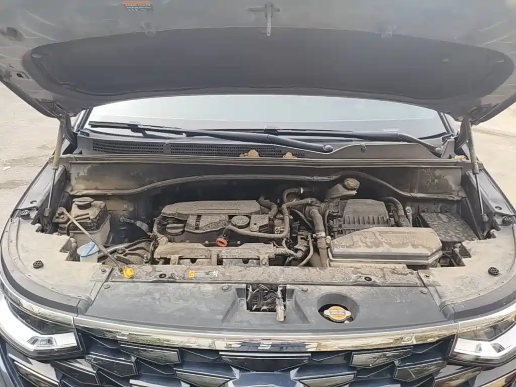 Hyundai Custo — миниатюра 20