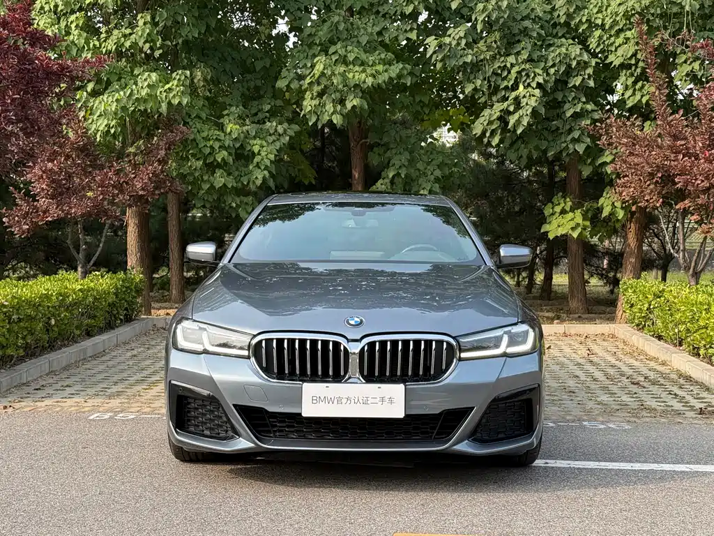 BMW 5 Series (Import) — миниатюра 5