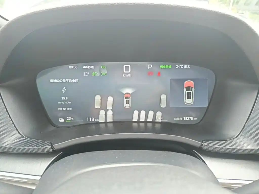 BYD PLUS New Energy — миниатюра 12