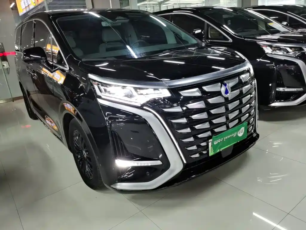 Denza Denza D9 — миниатюра 4