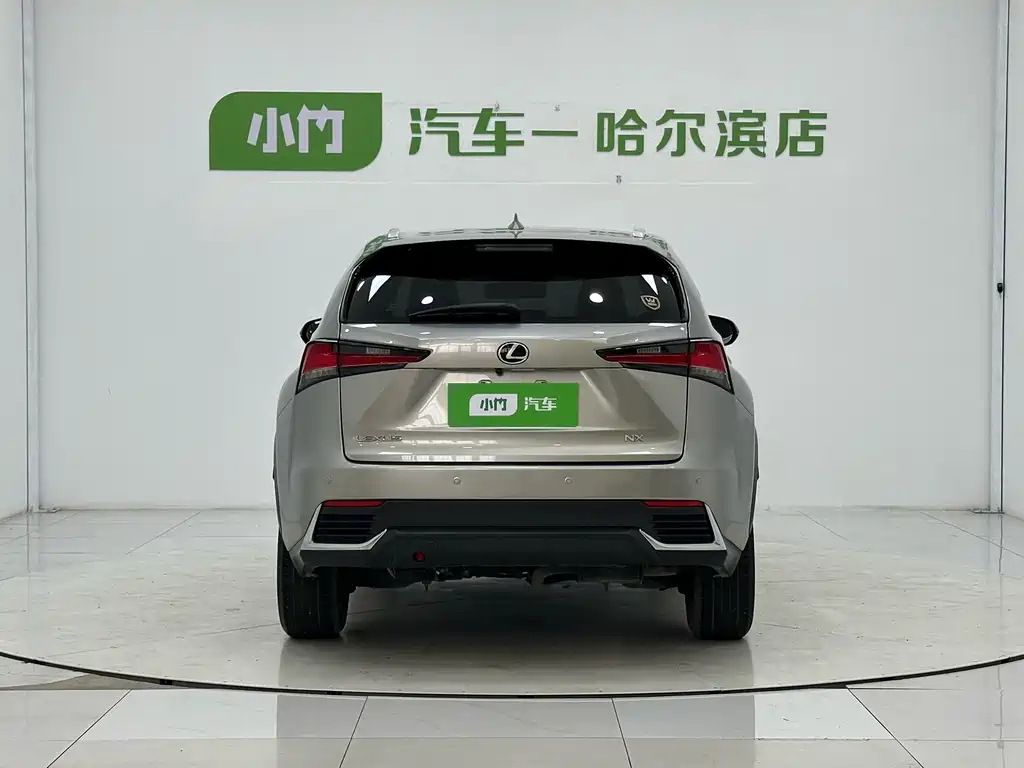Lexus NX — миниатюра 6