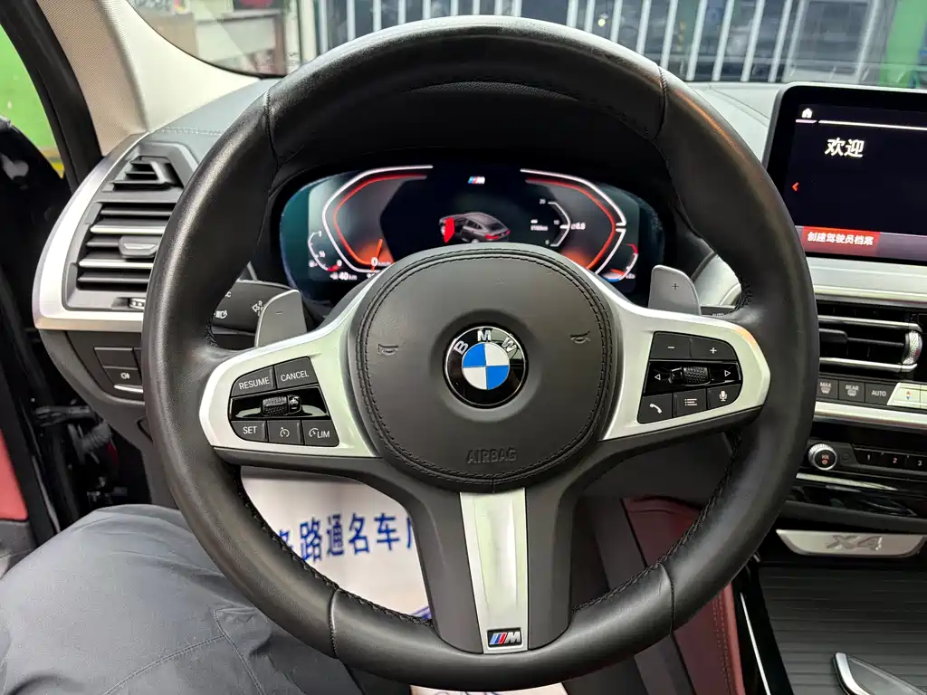 BMW X4 — миниатюра 9