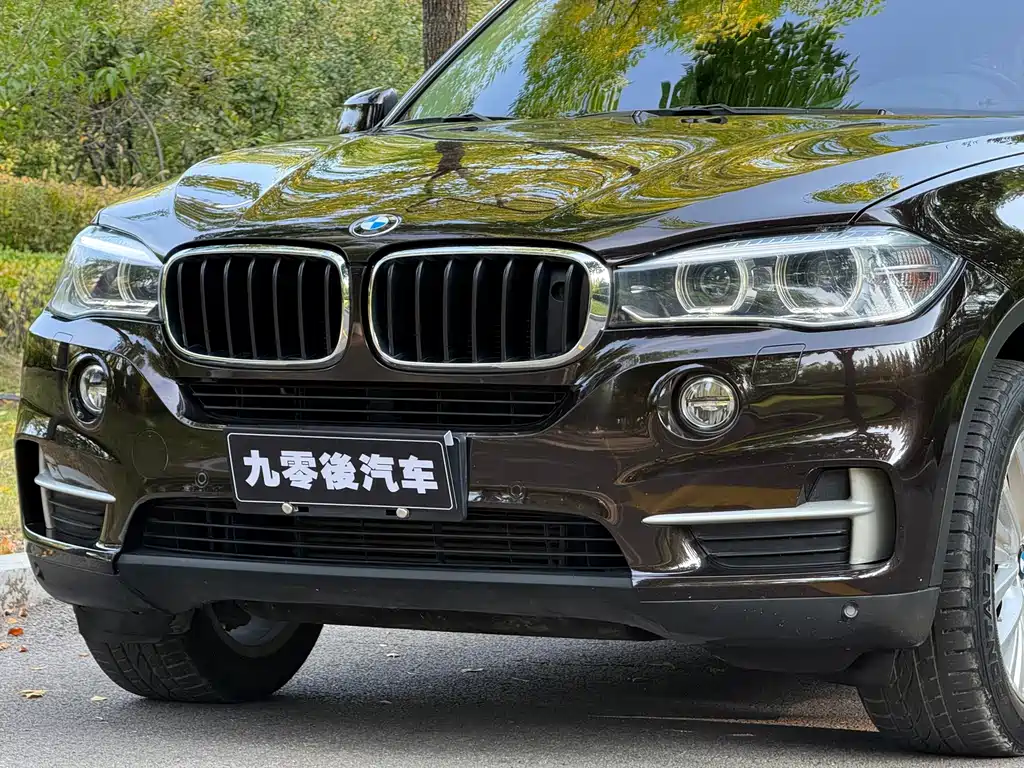 BMW X5 (Import) — миниатюра 6