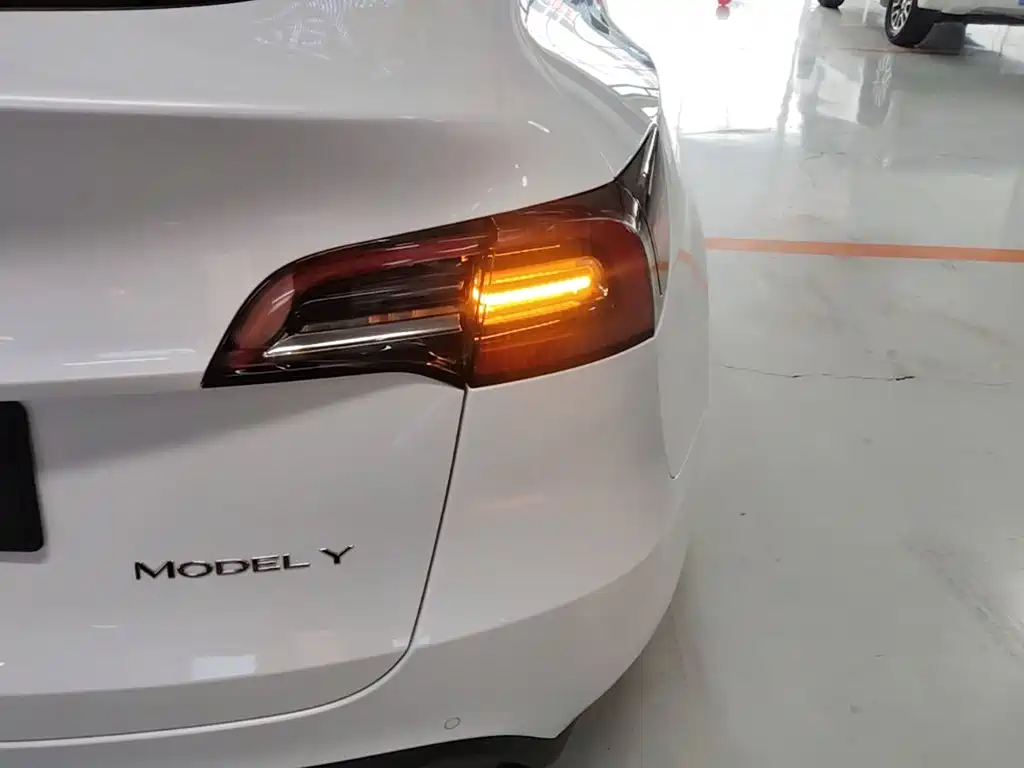 Tesla Model Y — миниатюра 8