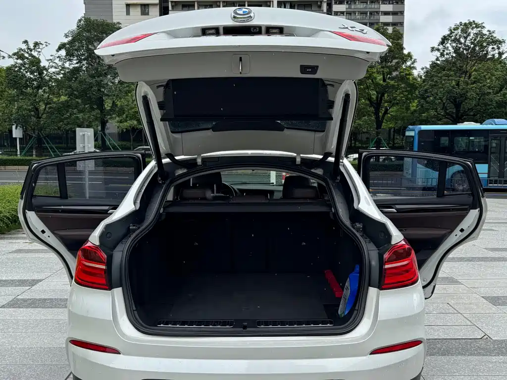 BMW X4 xDrive20i X Design Package, фото 17