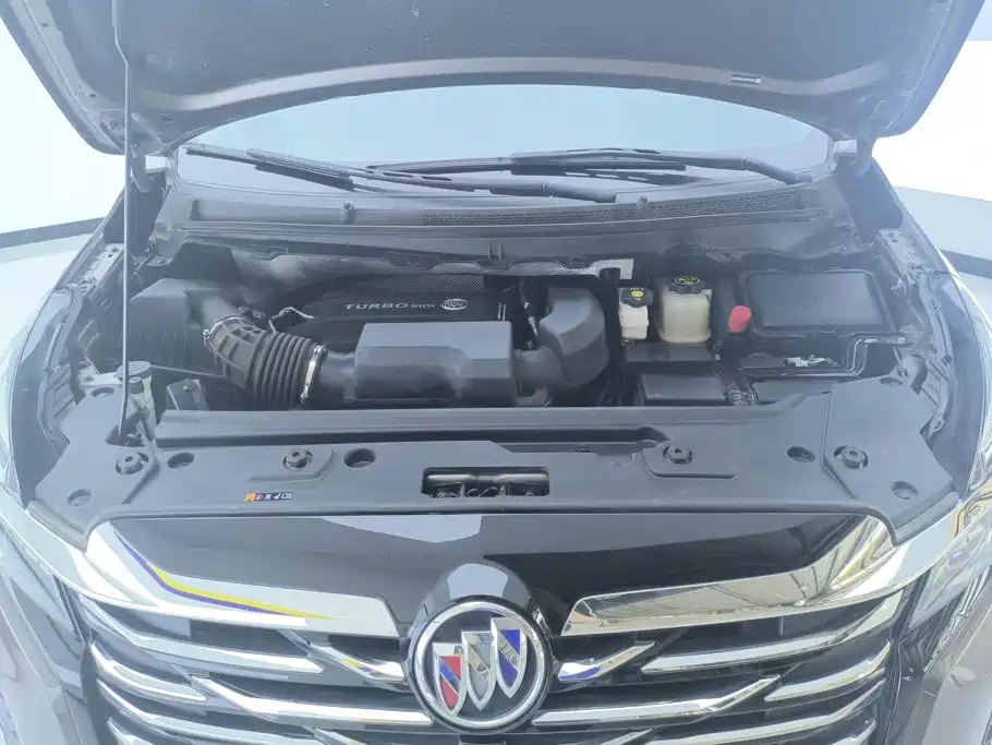 Buick GL8 — миниатюра 10