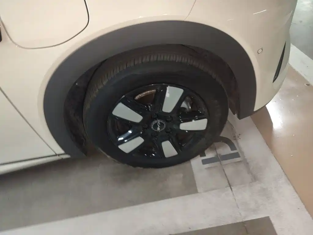 BYD Dolphin — миниатюра 25
