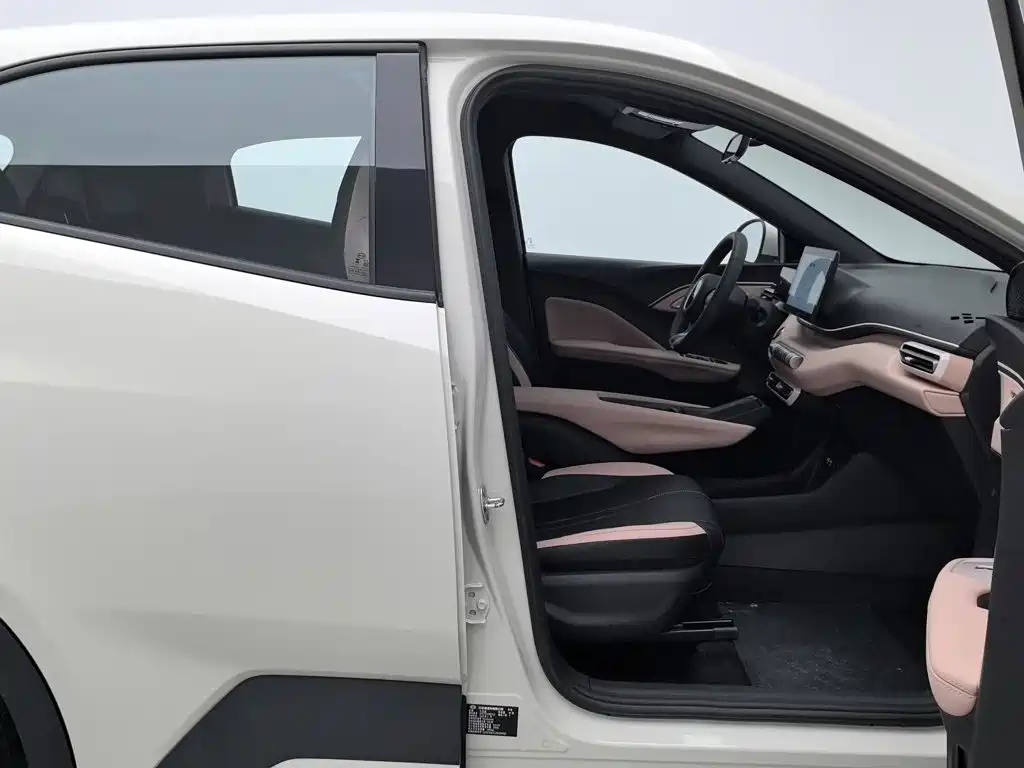 BYD Seagull — миниатюра 23