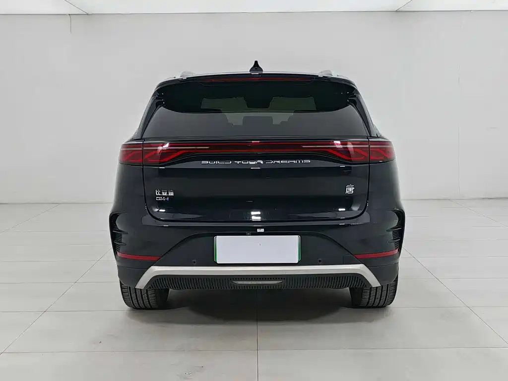 BYD Tang 2024 DM-i 112KM Luxury