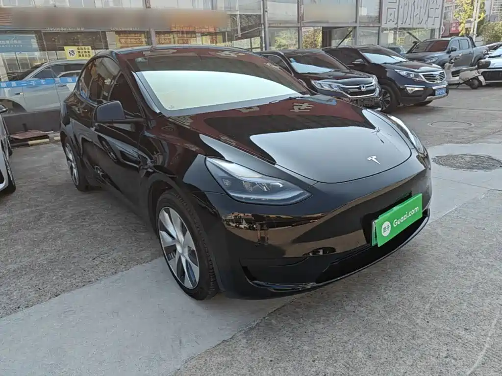Tesla Model Y — миниатюра 4
