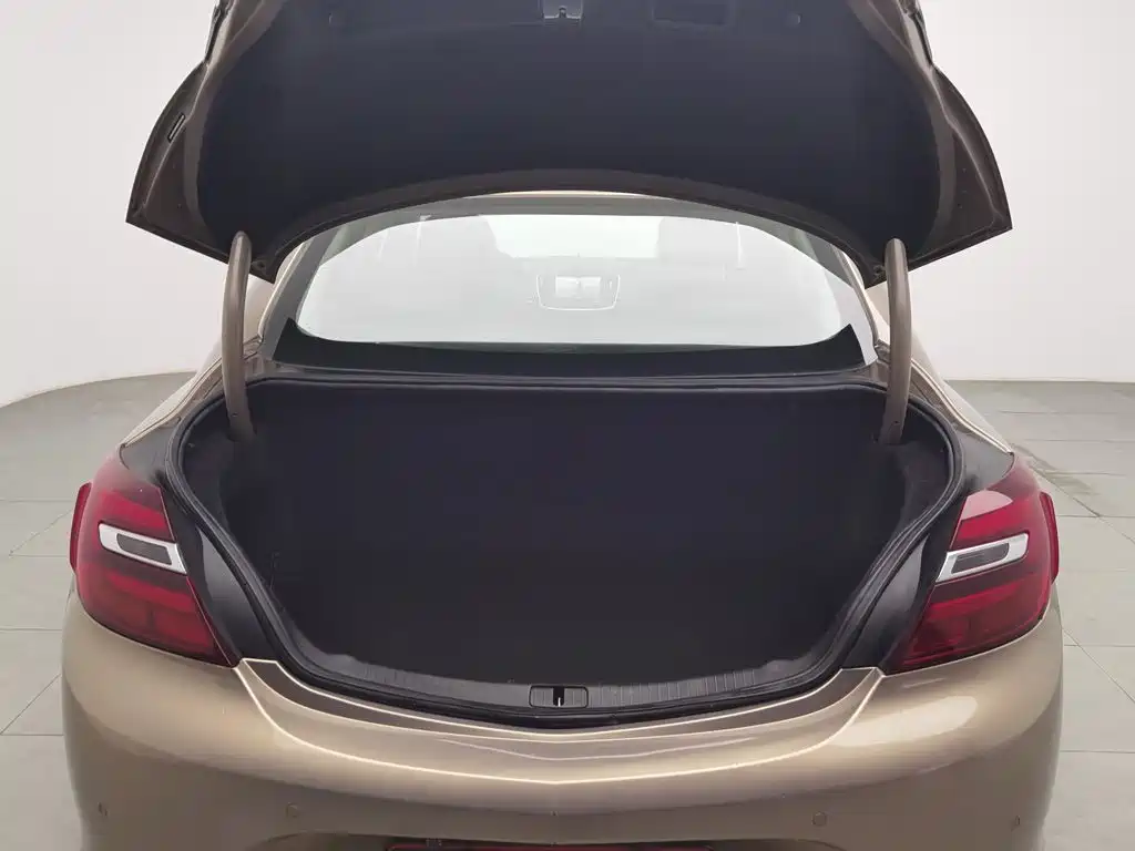 Buick Regal — миниатюра 16