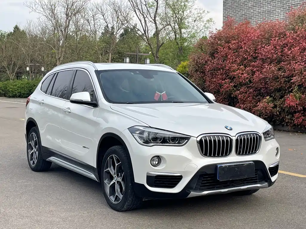 BMW X1 — миниатюра 3