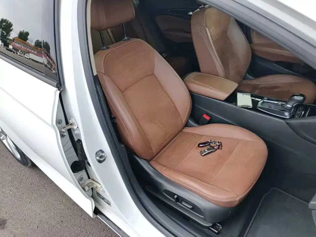 Buick Regal — миниатюра 25