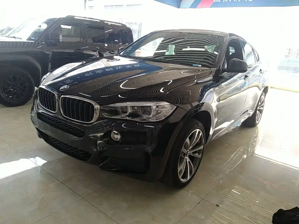 BMW X6 — миниатюра 2