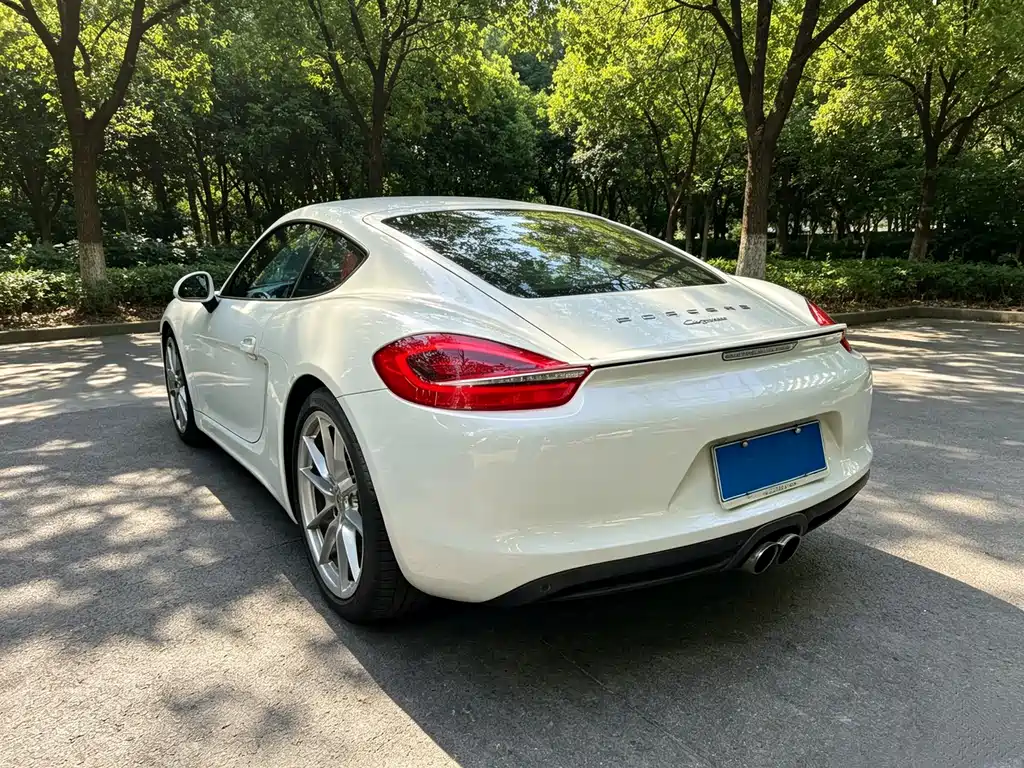 Porsche Cayman — миниатюра 7
